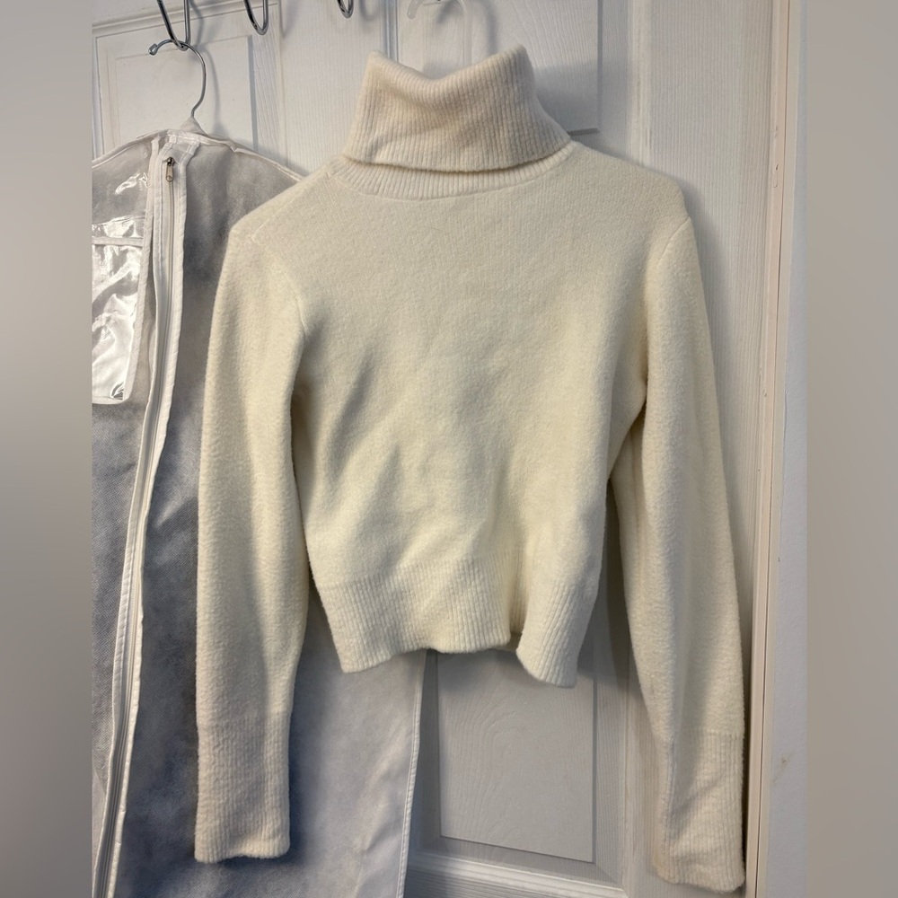 Zara Turtle Neck Sweater